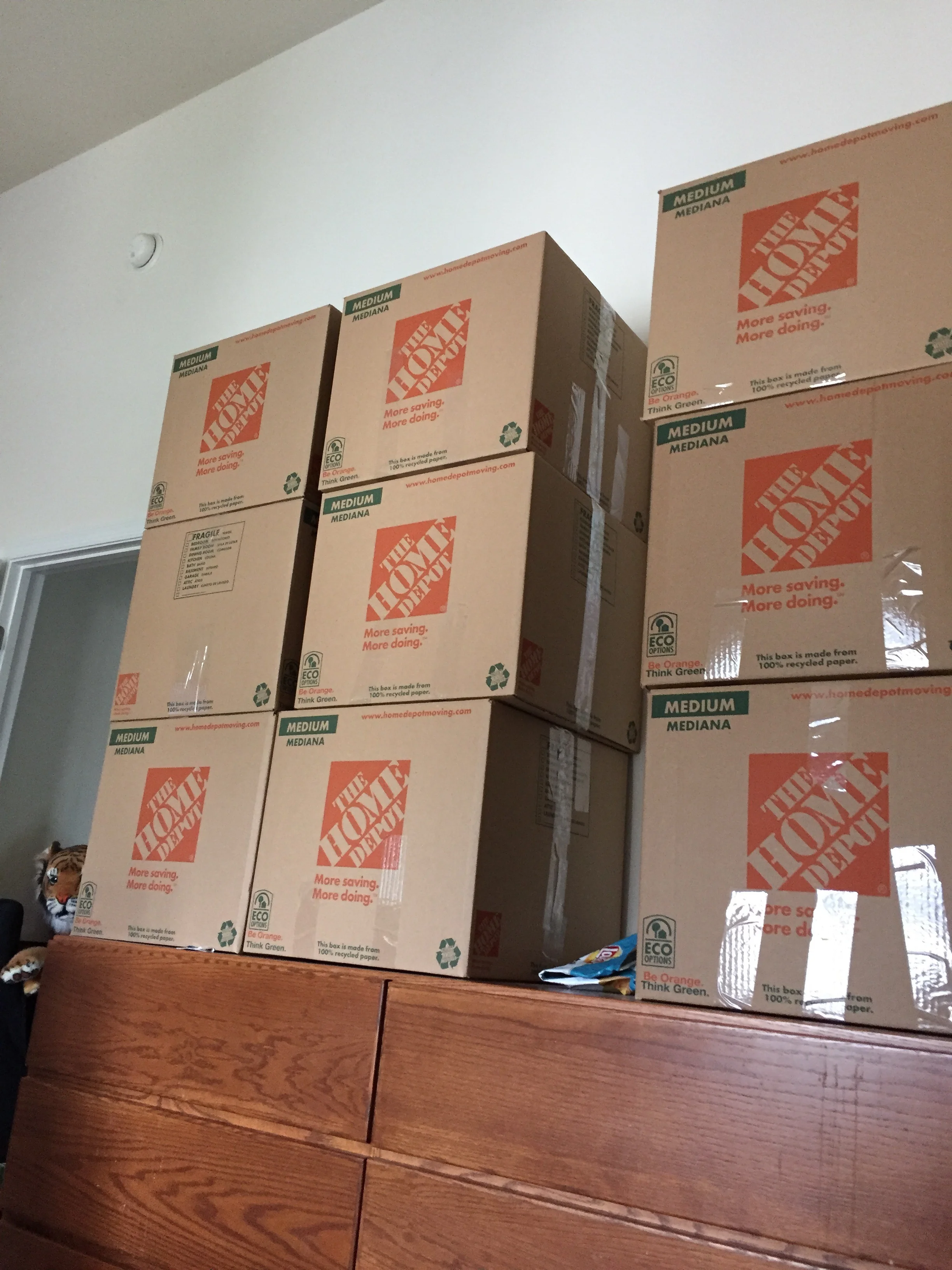 Boxes, and tigers, and furniture, oh my