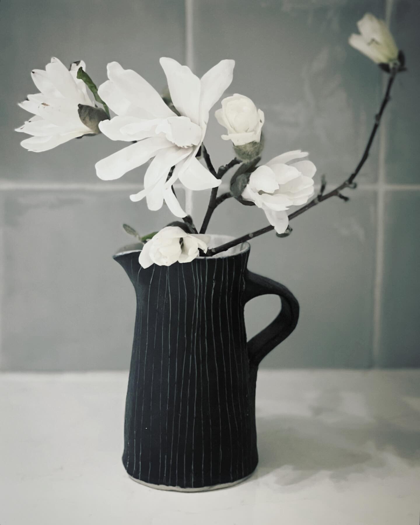 Star Magnolia in a thrown piece from the archive.

It&rsquo;s beautiful but only in bloom for 2 weeks of the year so need to make the most of it. A sign that spring is on its way 🌿🌱

#starmagnolia #ceramics #clay #thrown #archive #japanese #flowers