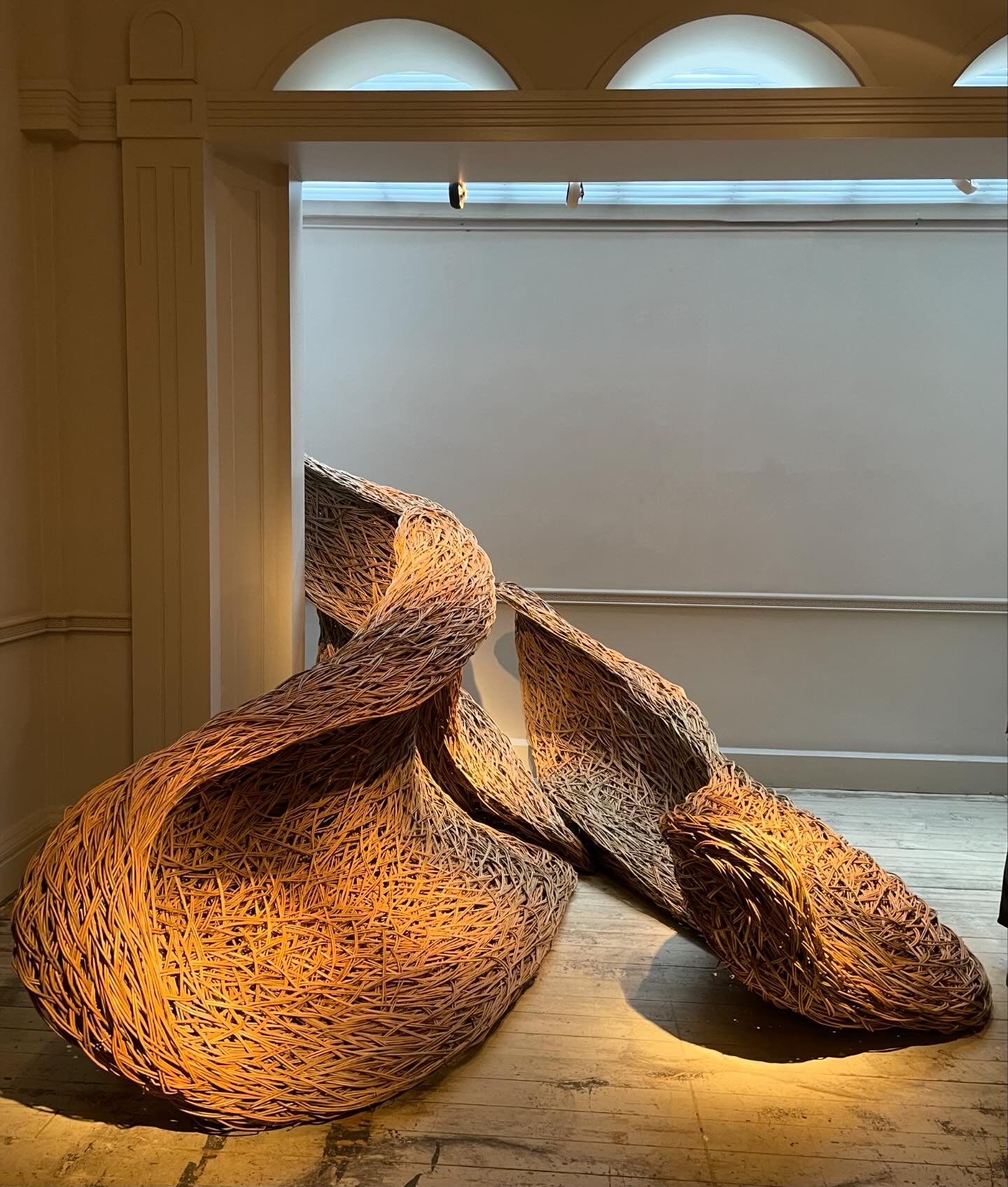 Congratulations to lovely @lauraellenbacon on a stunning solo show @hignellgallery 

I marvel at the complexity with which she tames, predominantly, Willow into such beautiful, flowing, organic forms.

If you get the chance do call in. The gallery&rs