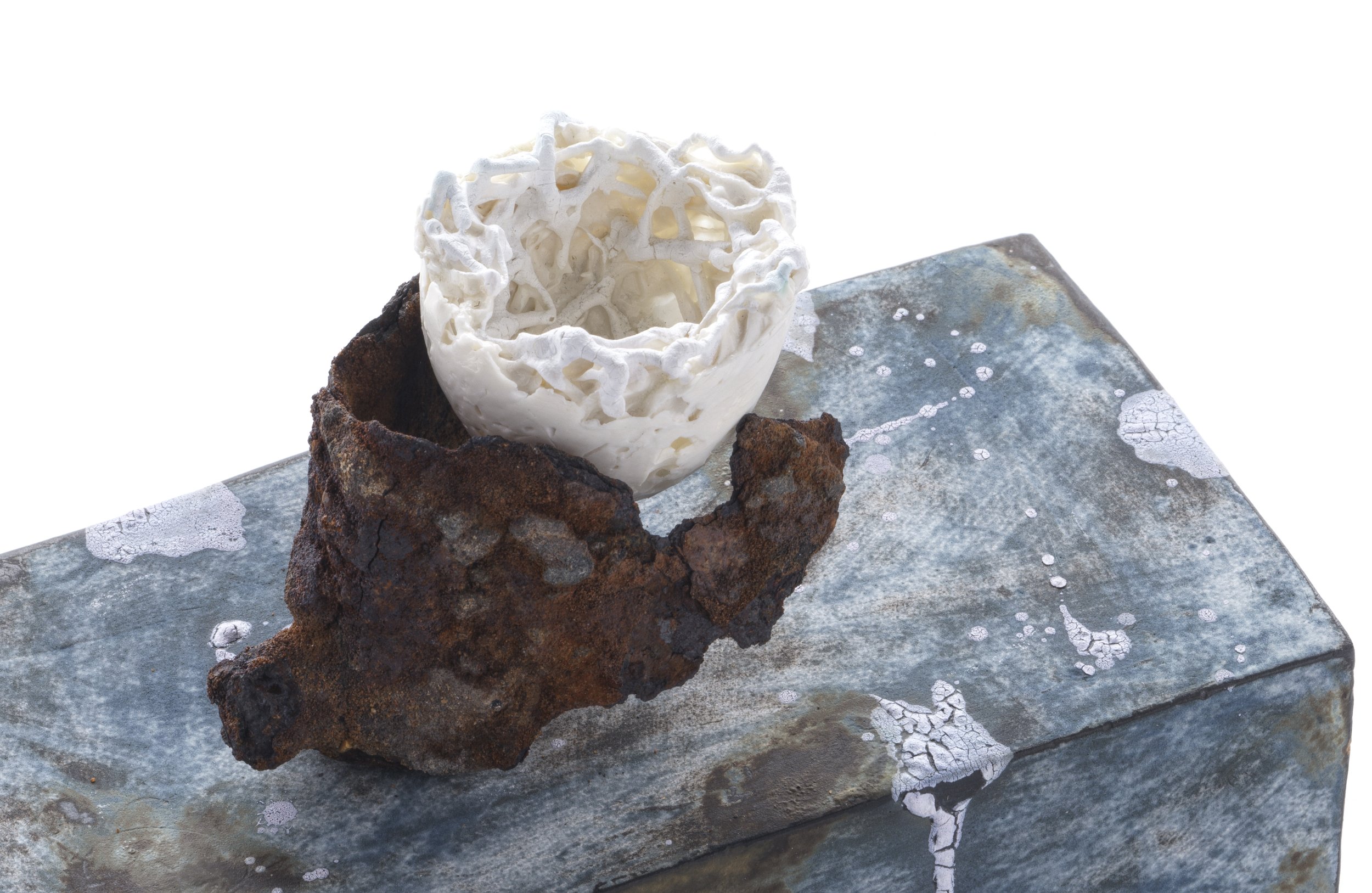 Sylvain Deleu. SMALL.70 dpi.jpeg