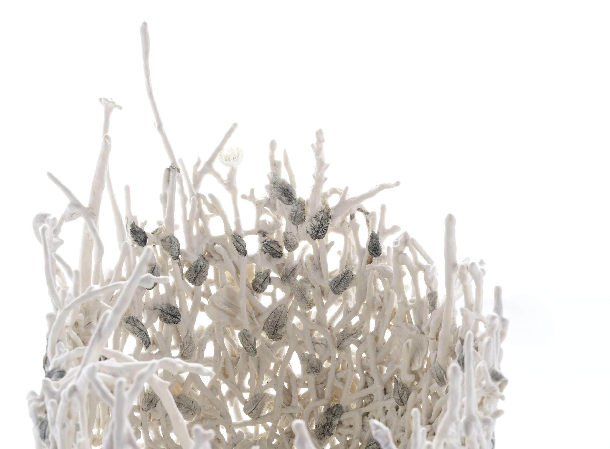 Sylvain Deleu. SMALL 70dpi.jpeg