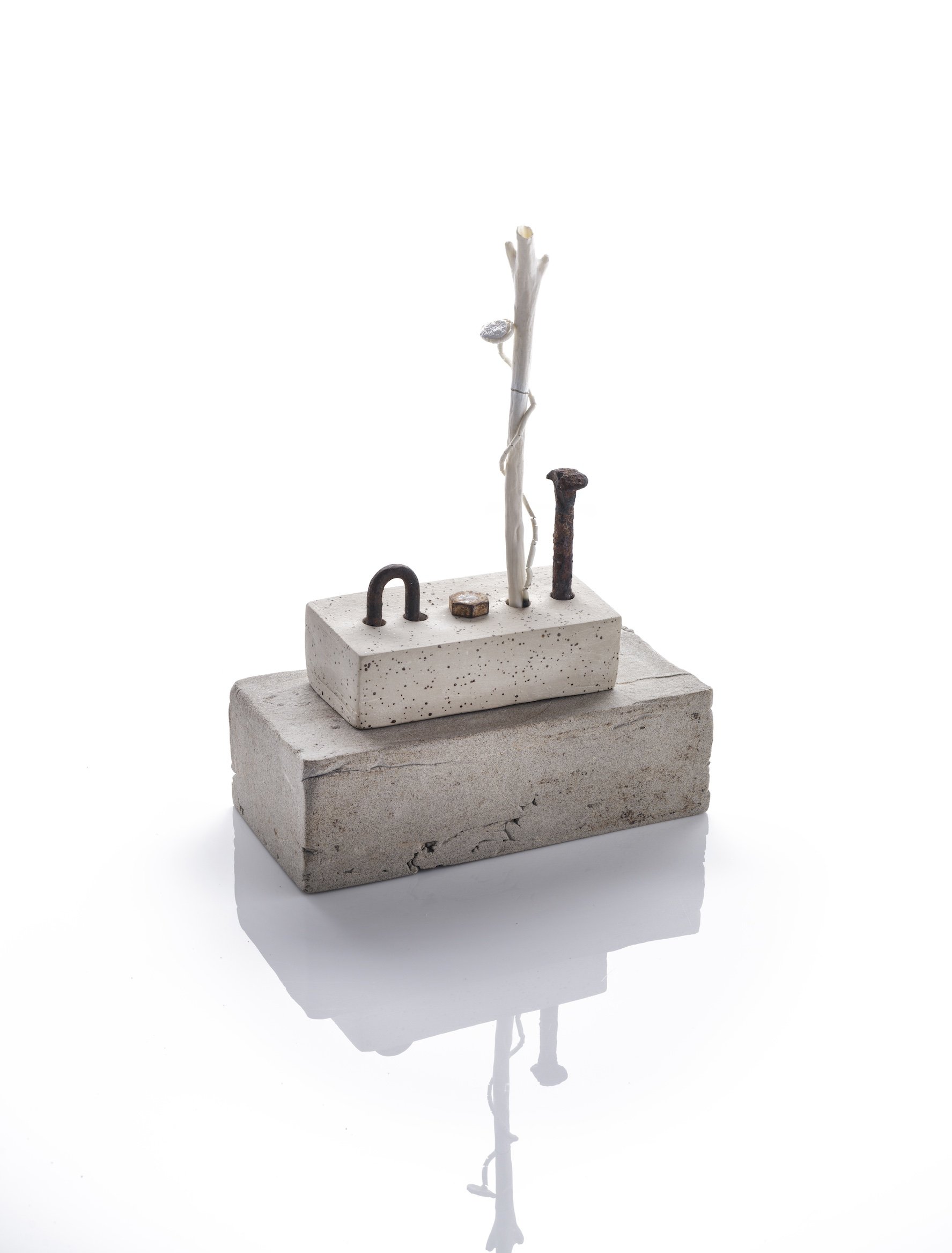 Sylvain Deleu. SMALL. (70dpi).jpeg