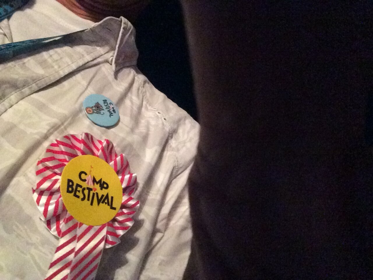 Camp Bestival rosette.jpg