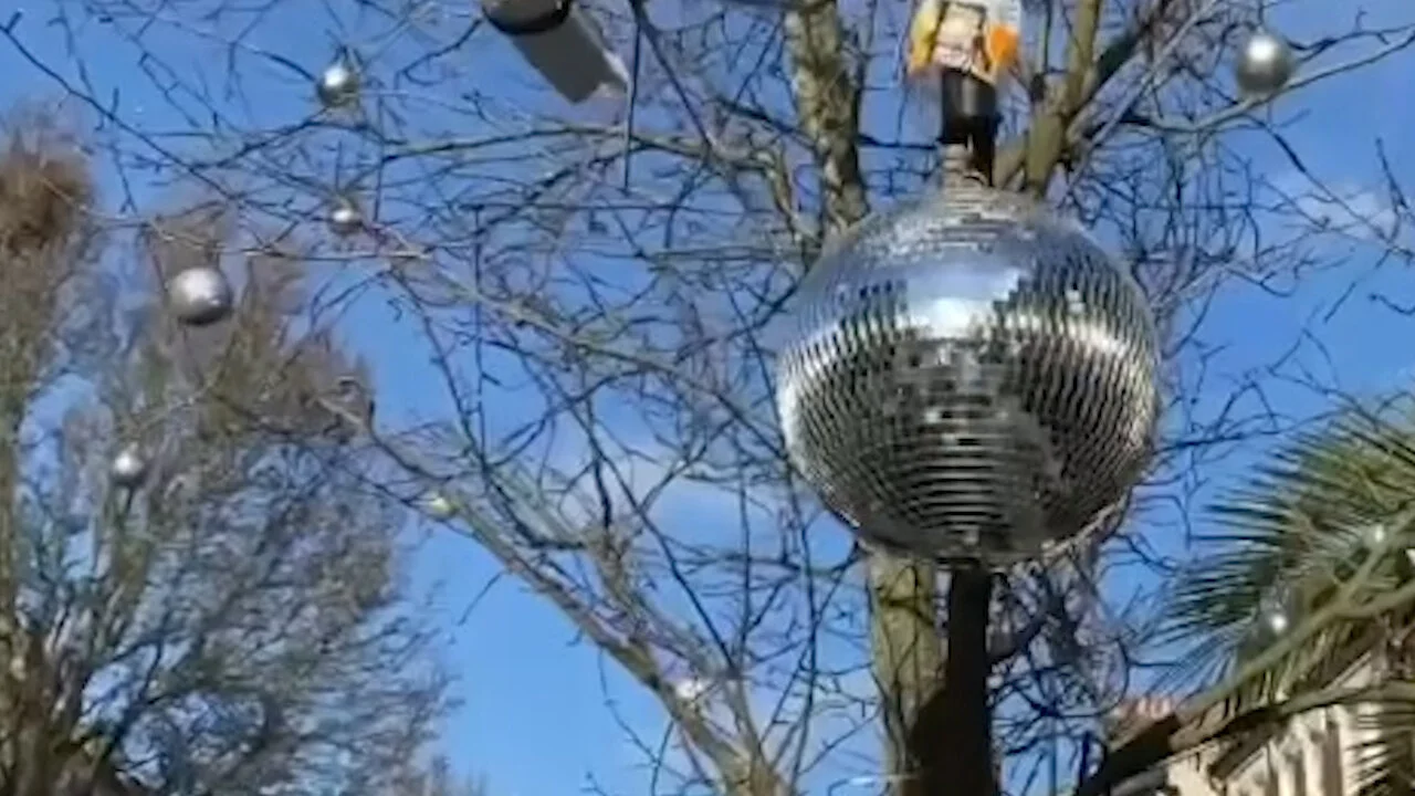 Mirror Ball by day .jpg