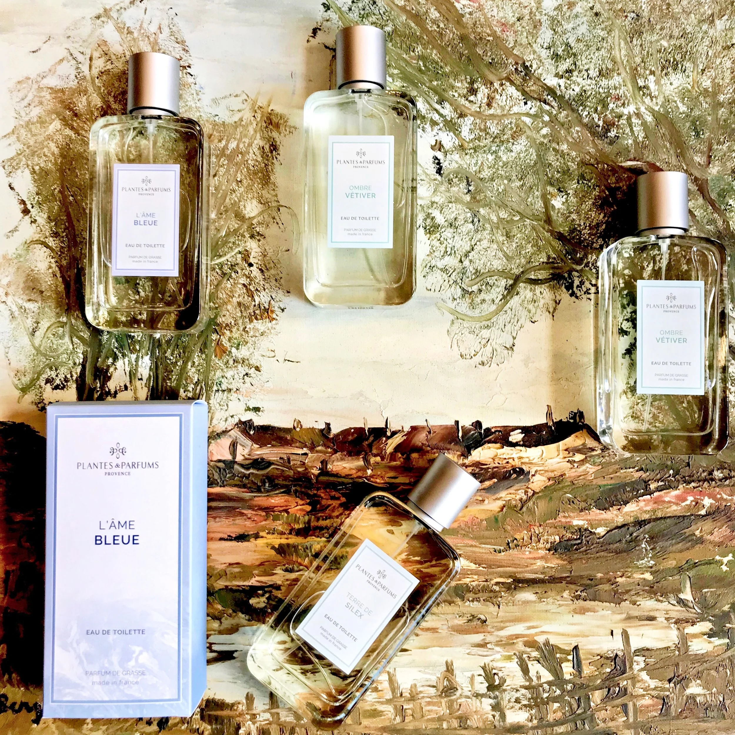 Plantes Parfums Terre de silex — Little Paris Store