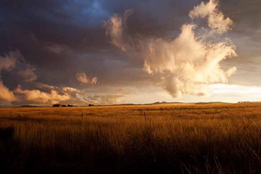landscape_bloem.jpg
