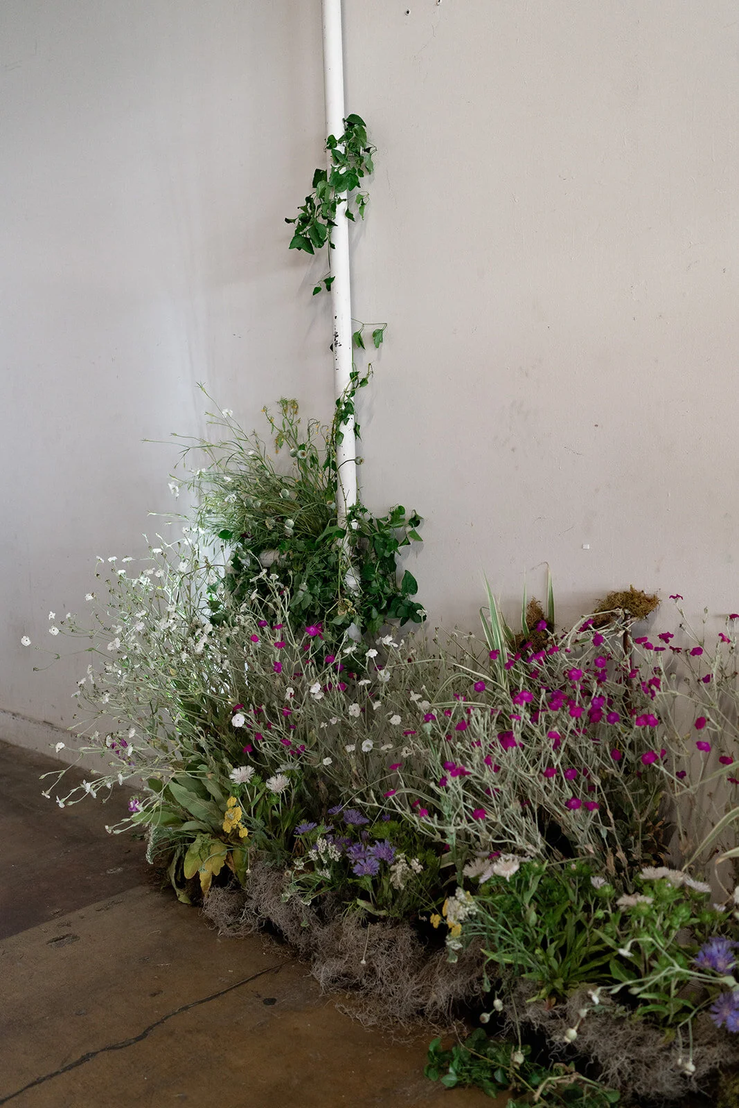 6FE90B9B-84FF-44C9-ACF8-9E6FA82EB7B3