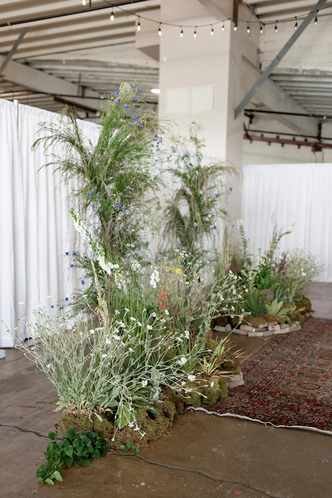 625DECD0-5BFC-4219-8E08-EA67CF0C928E