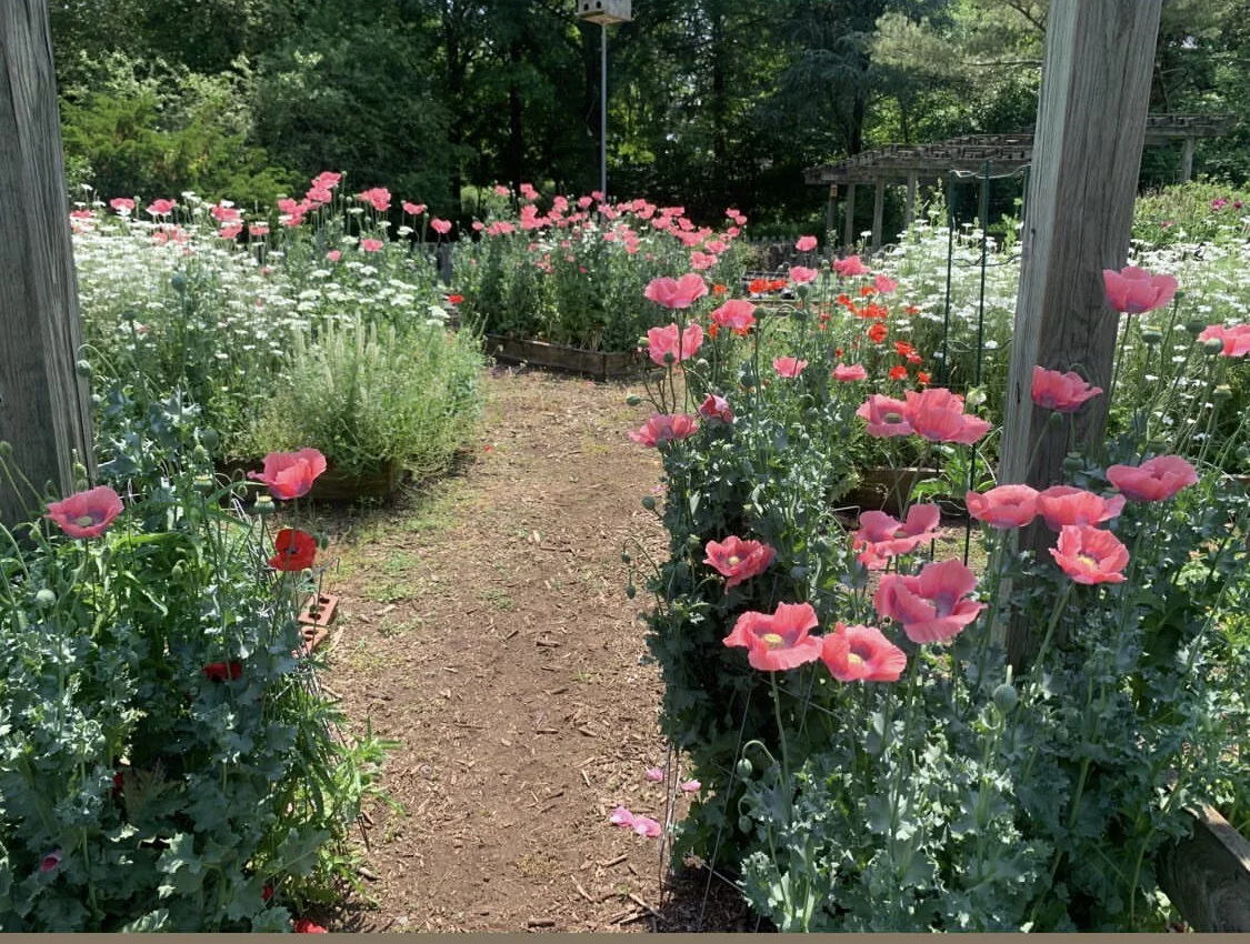 549FD0D4-F25C-441E-BABC-9D000BBD8335