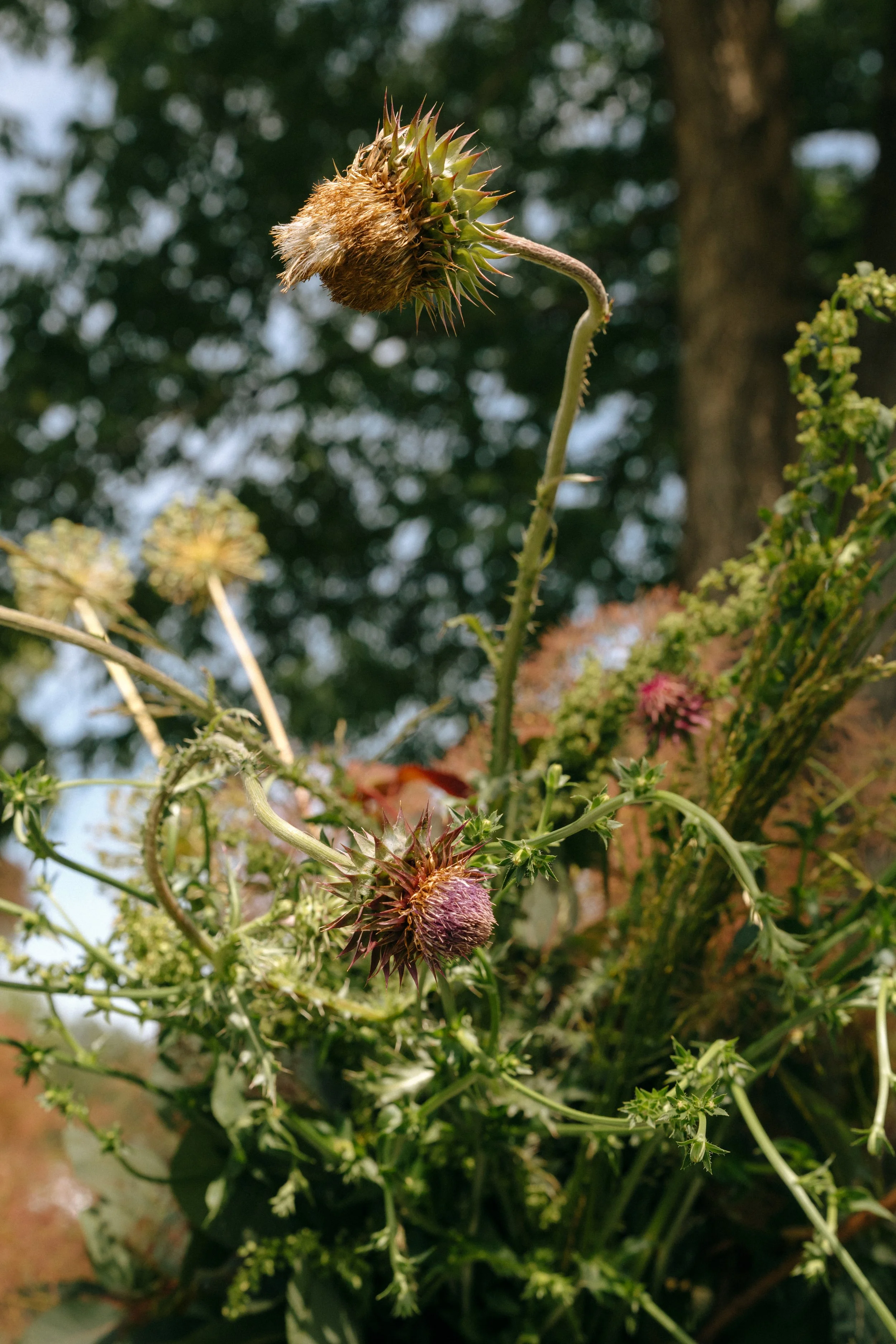 5.25.25_highlights-094.jpg