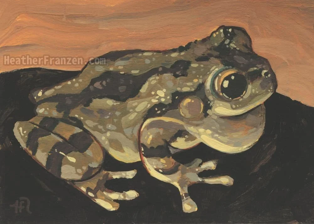 painting of a frog
