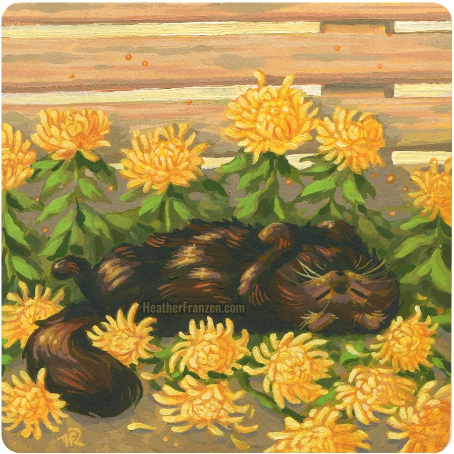 a black cat rolling around on yellow chrysanthemuums.