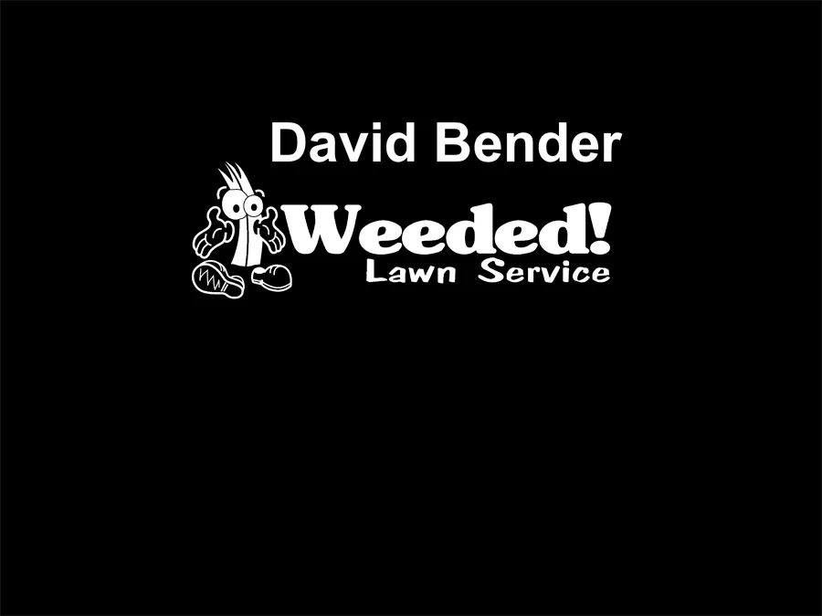 David-Bender.jpg