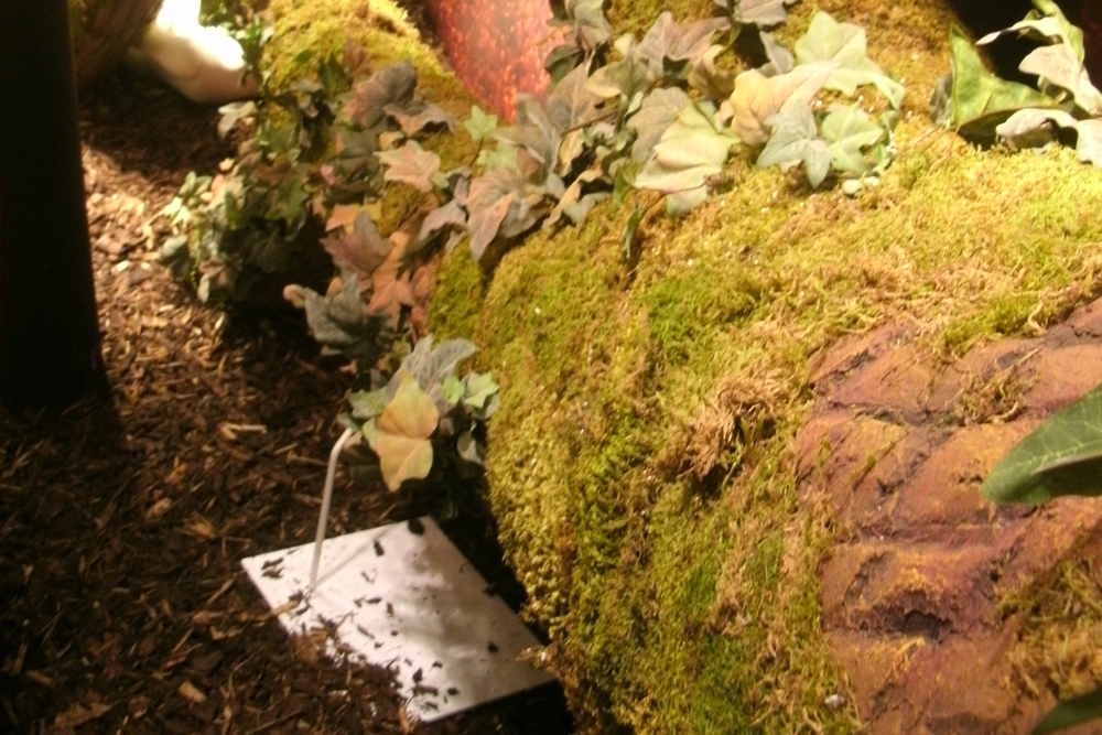 Props & Sculpts, Fenwicks, Autumn Window Displays, Fenwick Bond Street, Retail Design, VM, Visual Merchandising
