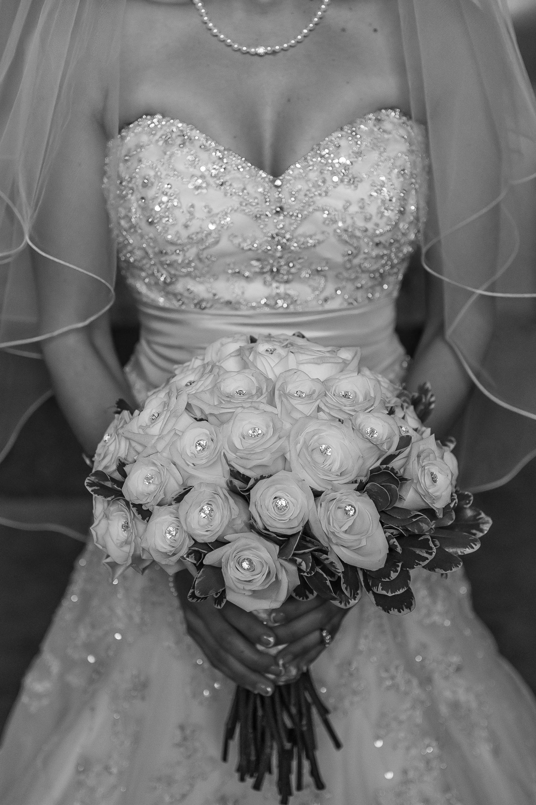 CP2_8367.jpg