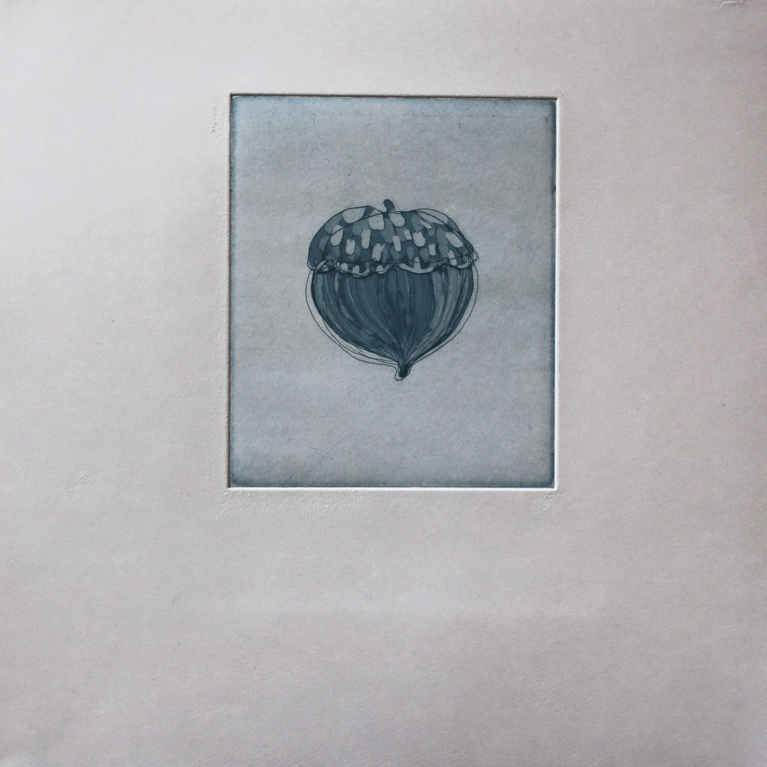 Acorn-1.jpg