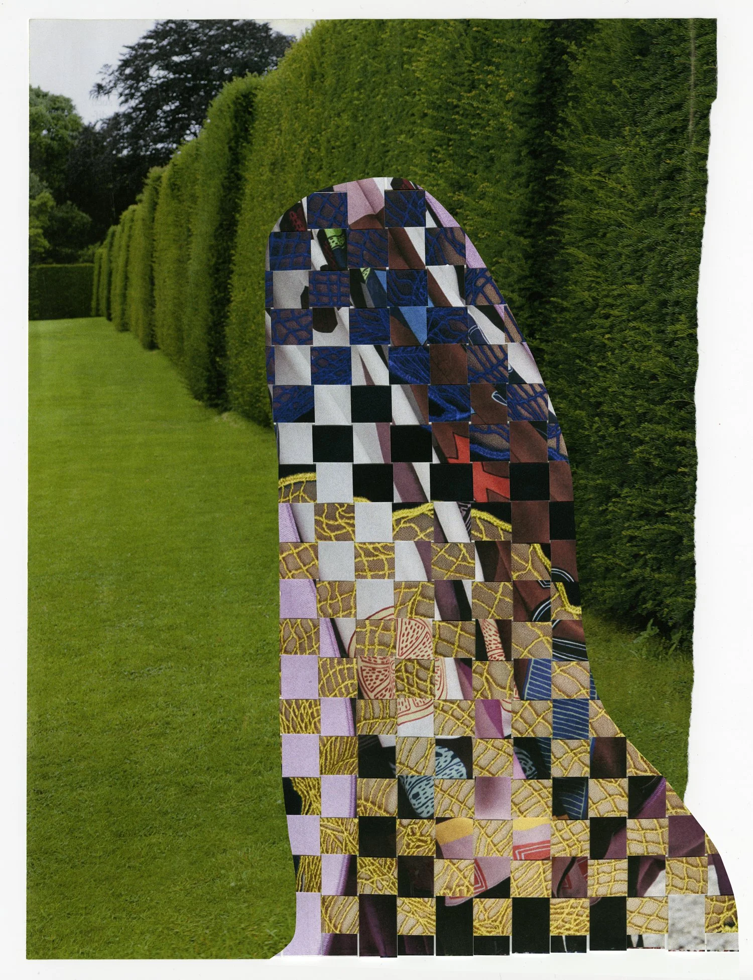 dress-and-bushes.jpg
