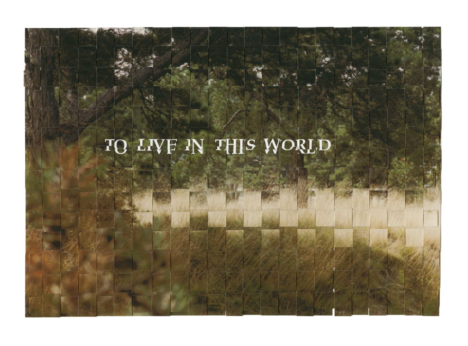 YOU-BE-ABLE003.png