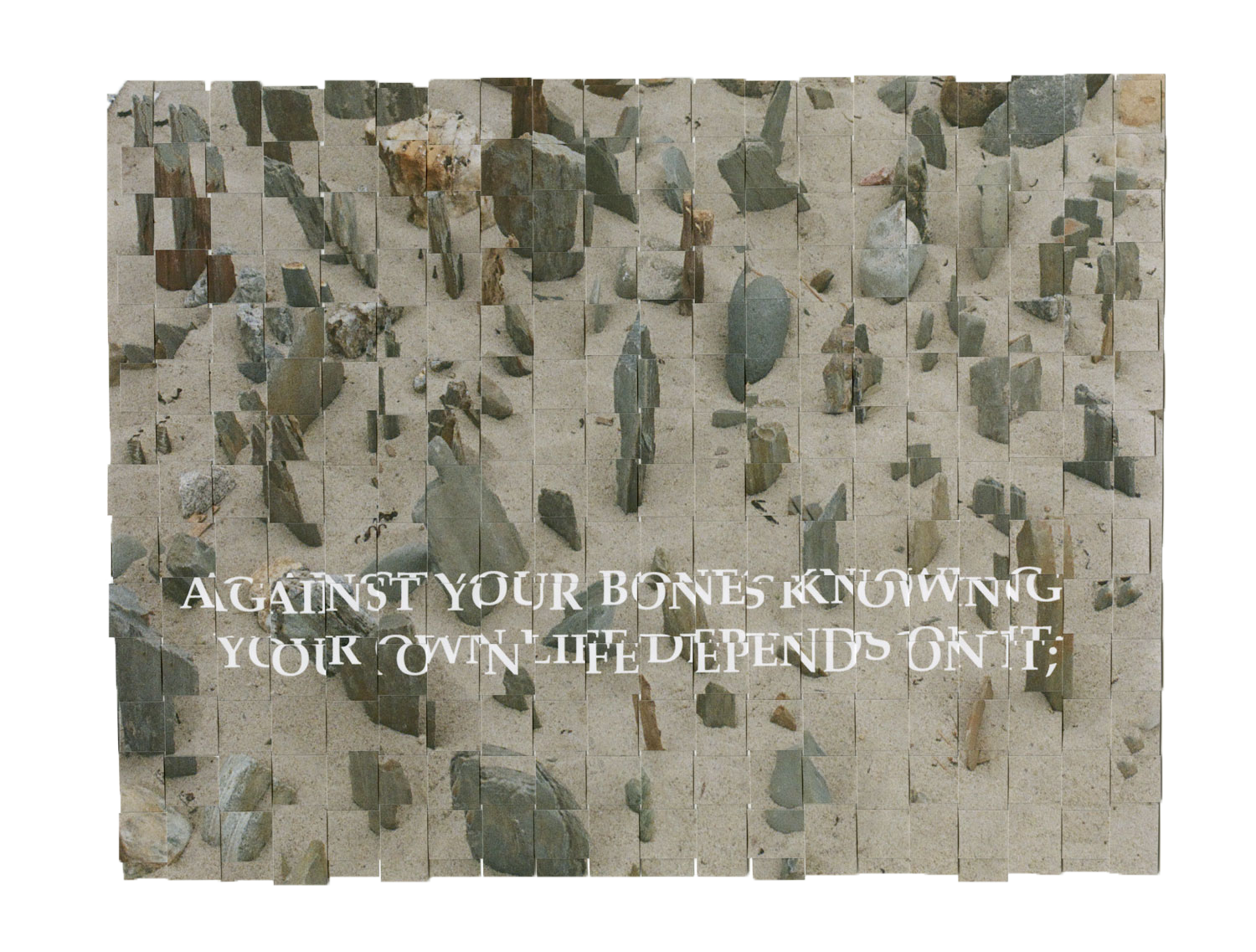 YOU-BE-ABLE005.png