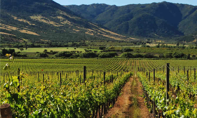 There's so much to do in this country from sightseeing in the capital of Santiago to skiing in the nearby Andes. Another fun option? A wine trip through Chile's wine country in the Colchagua valley. Even more? Why not head as far south as Patagonia or visit Easter Island? Visiting Chile really will have all of your bases covered.