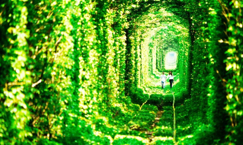 photo courtesy of Shutterstock