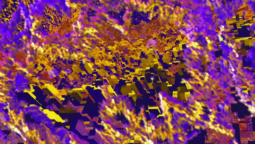 Guarded_web.jpg