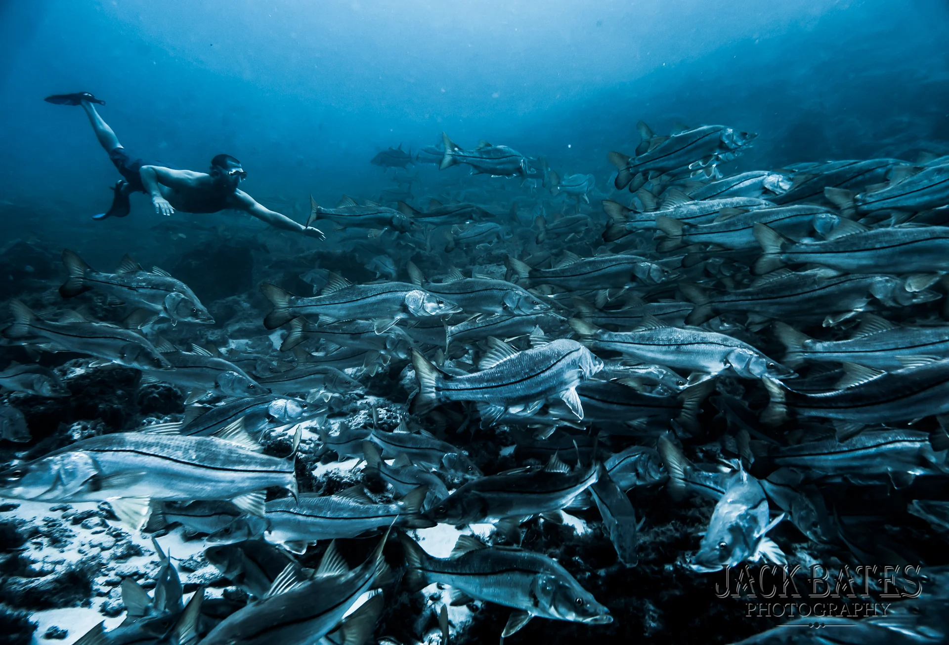 Inlet Dive with taylor-235.jpg
