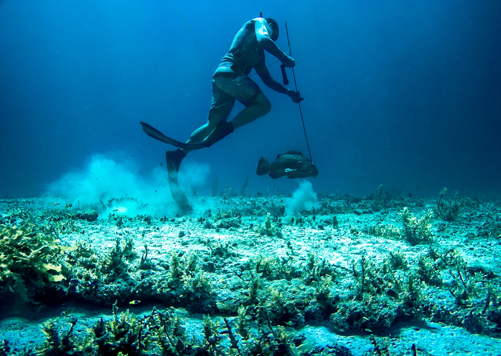 Bahamas -331.jpg