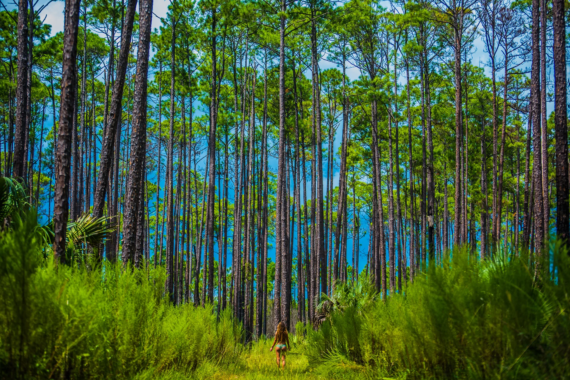 Dyke Park -42-2.jpg