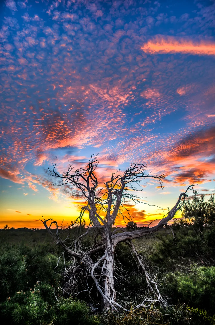 Jdunesunset-37_8_9hdr.jpg