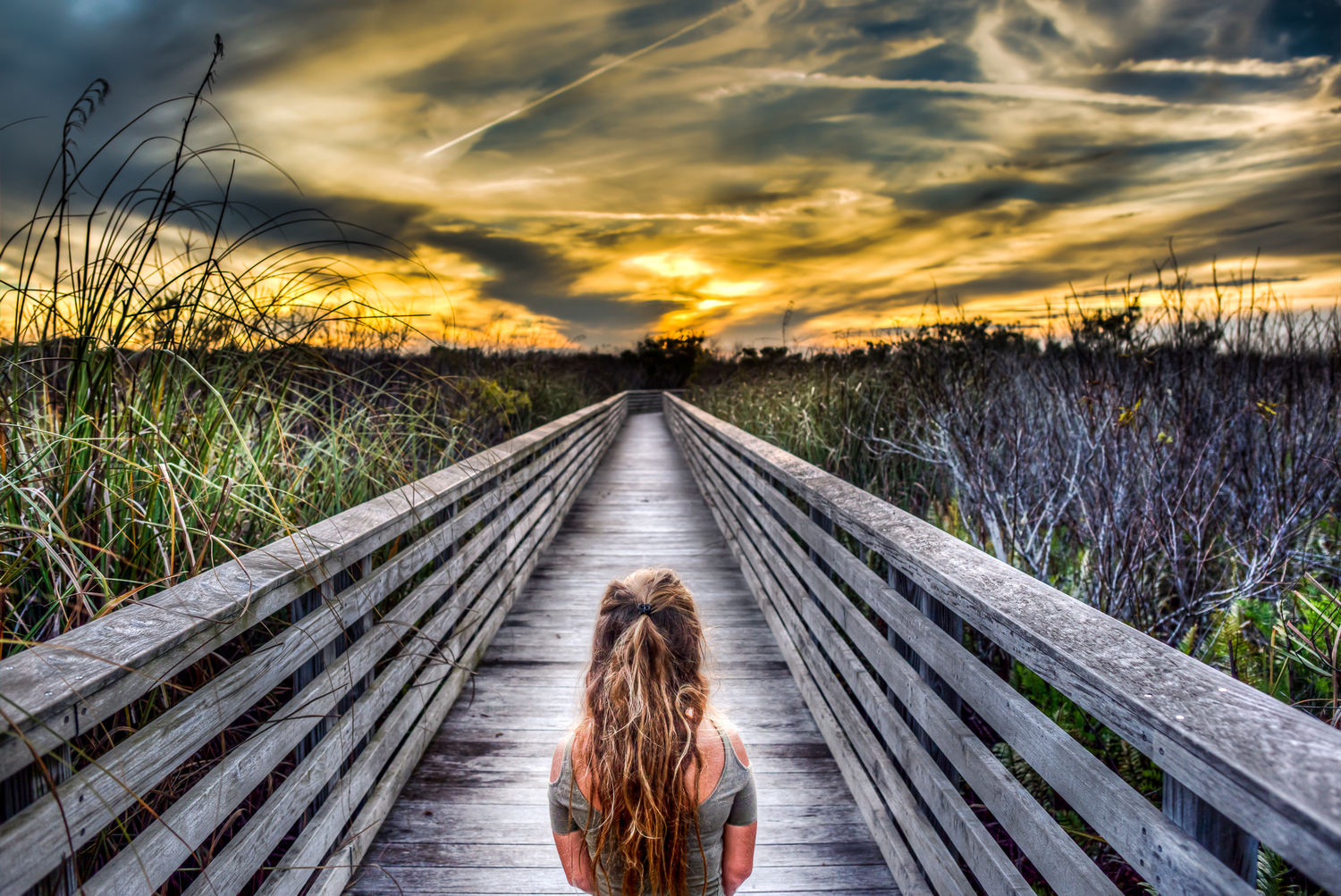 chemtrails-13_4_5hdr.jpg