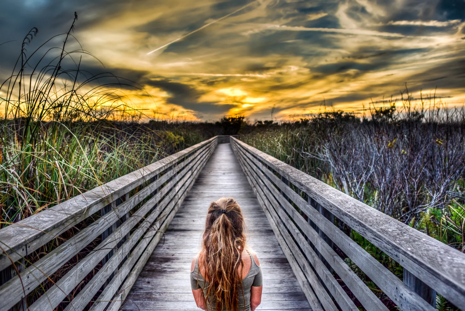 chemtrails-13_4_5hdr.jpg