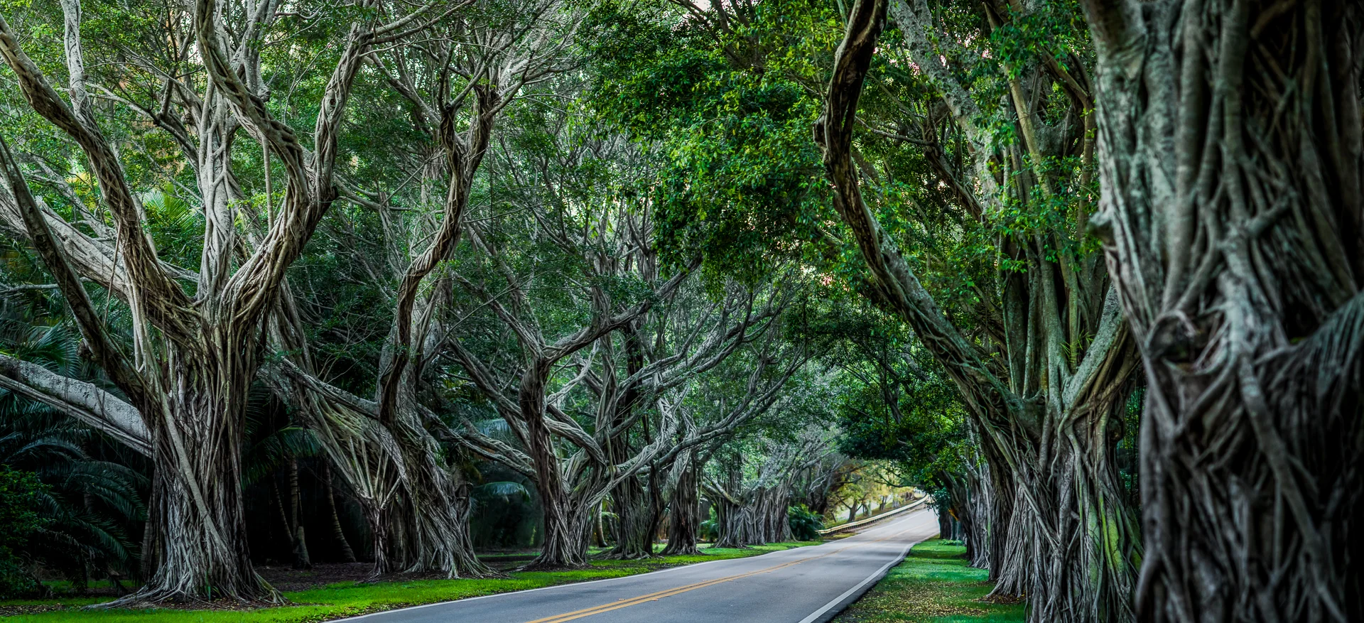 Bridge rd-70-Edit.jpg