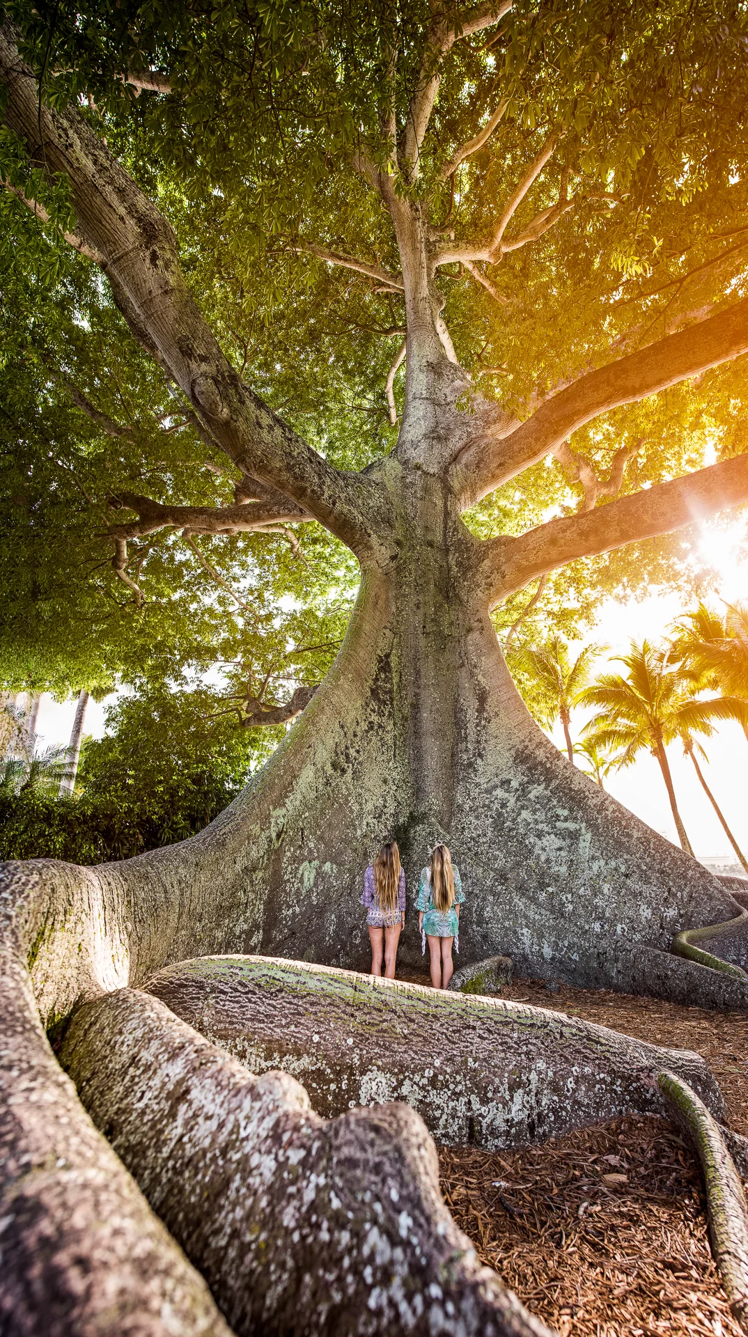 BGpalmbeach-52.jpg