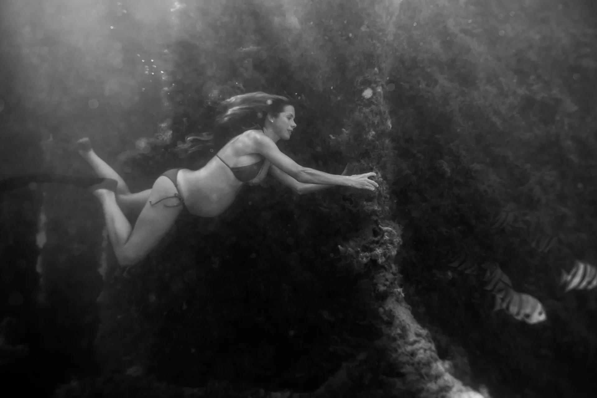 CrystalUnderwaterMaternity-433.jpg