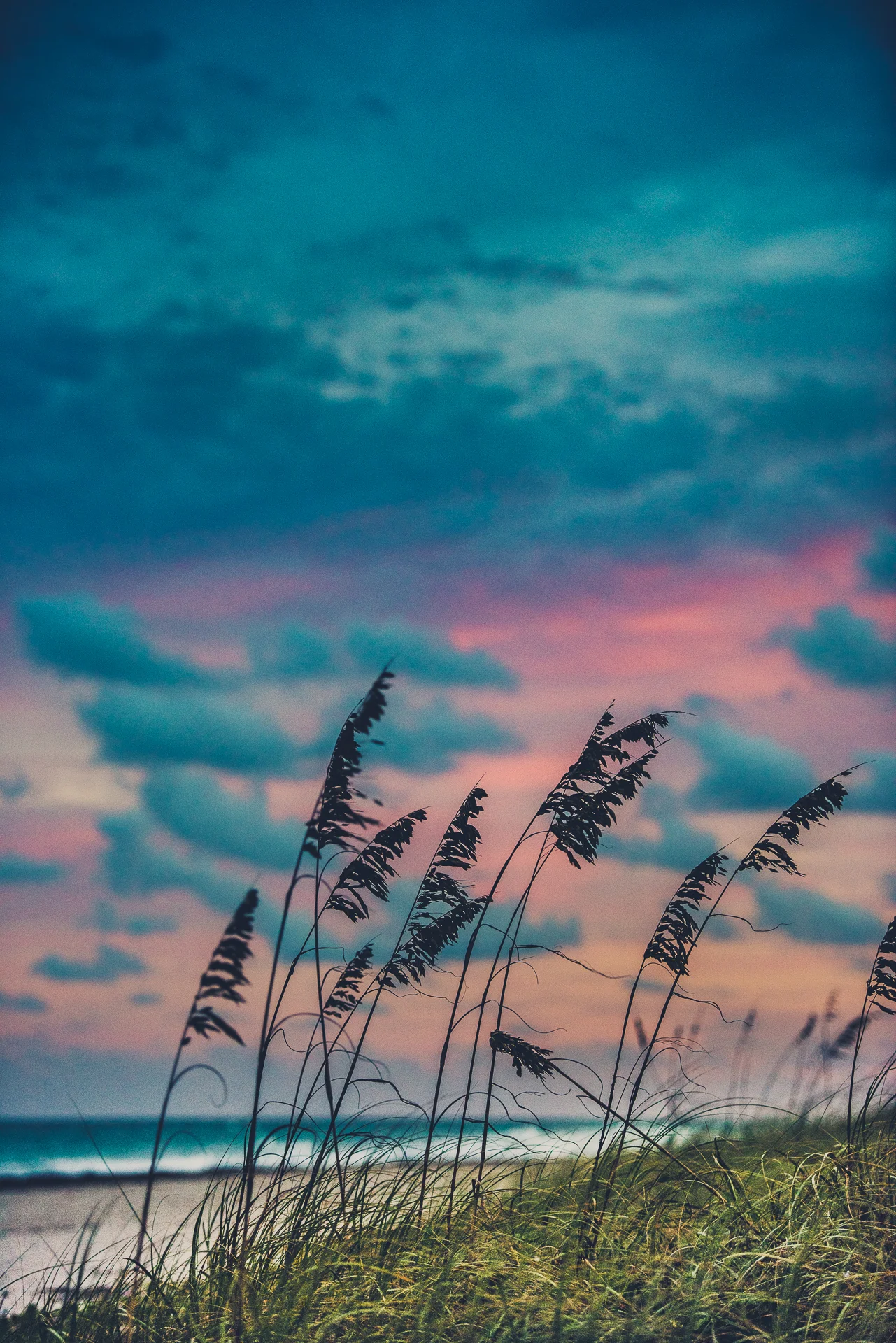 Sunsetwithboo-86.jpg