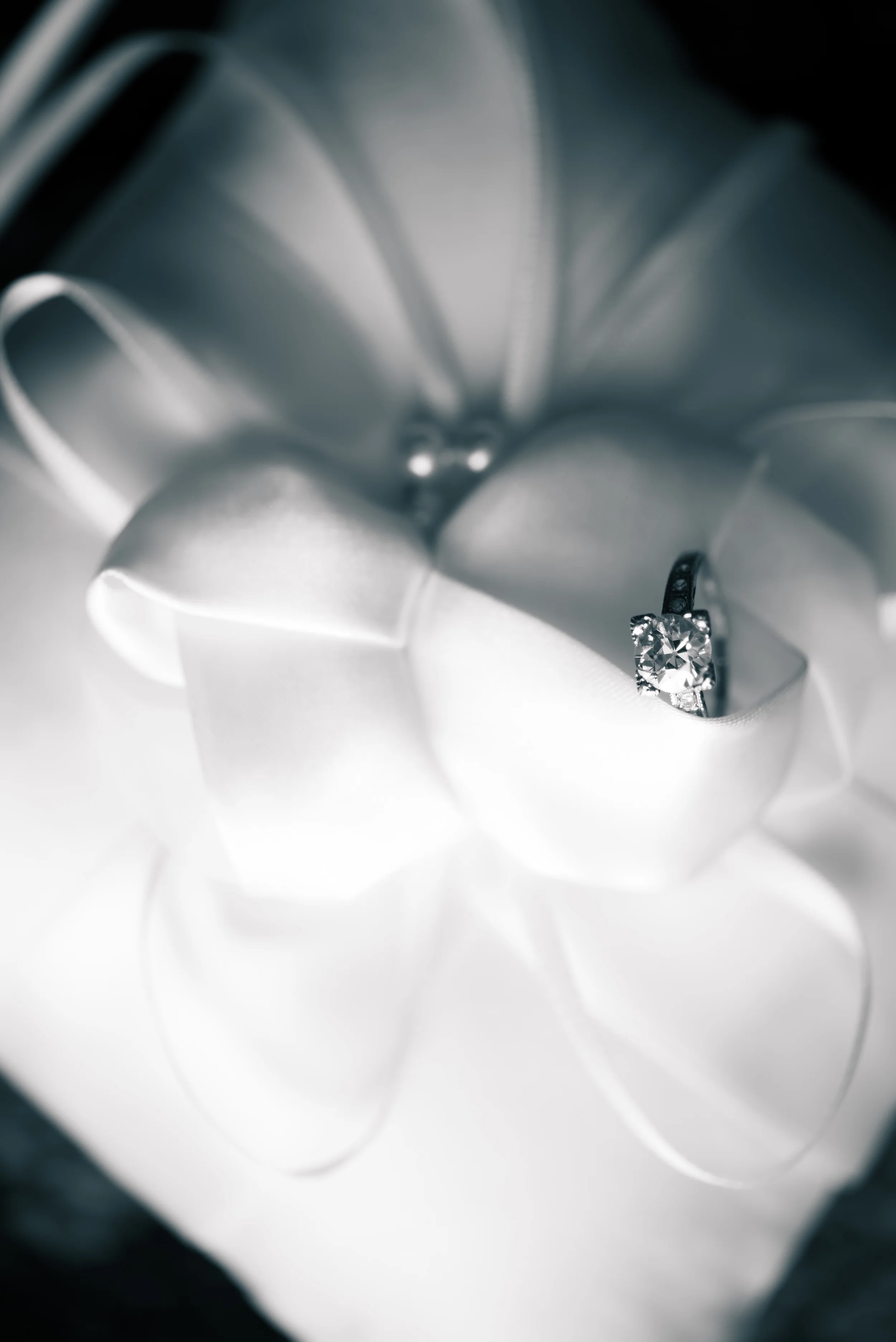 Malany&James'sWedding|HIghlights-0005.jpg