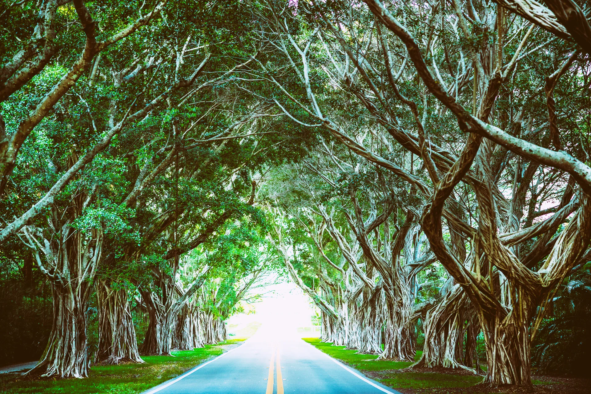 Bridge rd-51-Edit-Edit.jpg