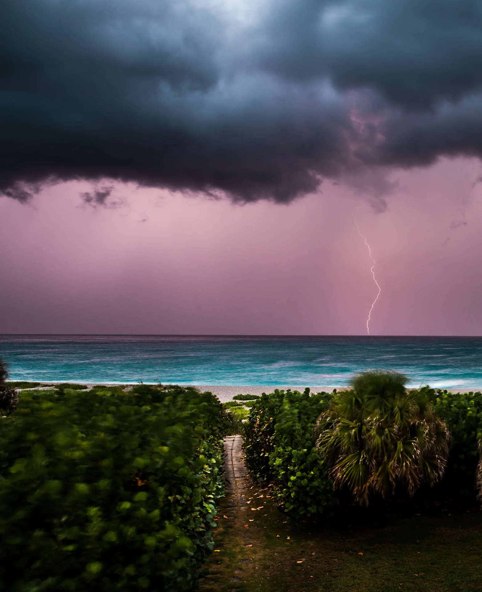 Purple Rain