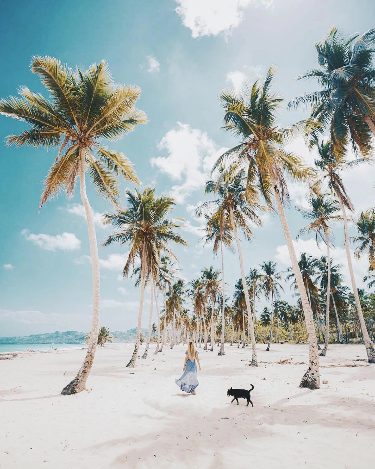 Dominican vibes