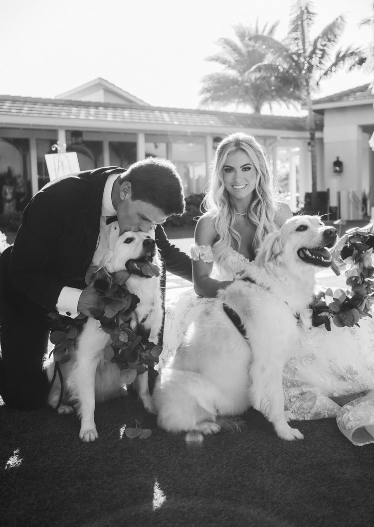 Wedding photography by Jack Bates