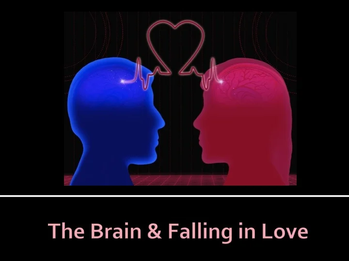 This is Your Brain in "Love"