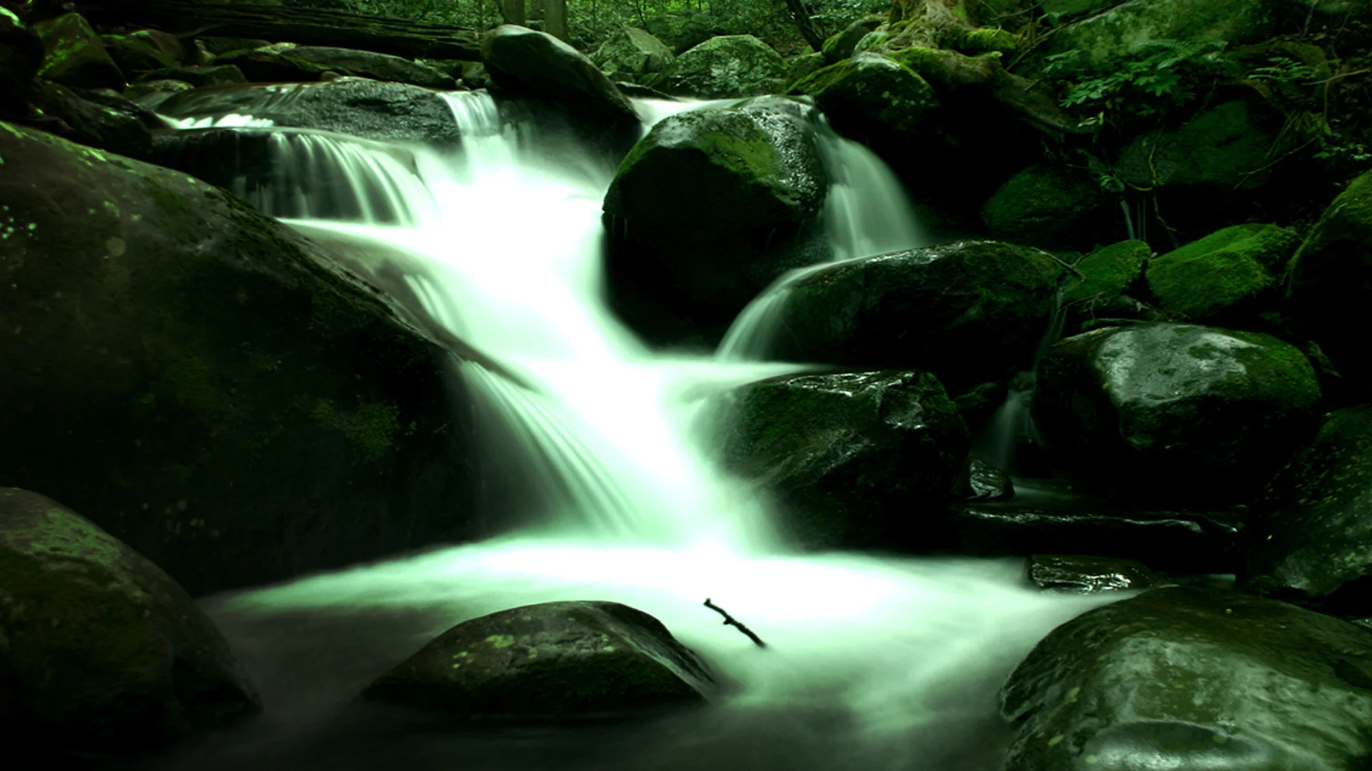 Meandering - Home