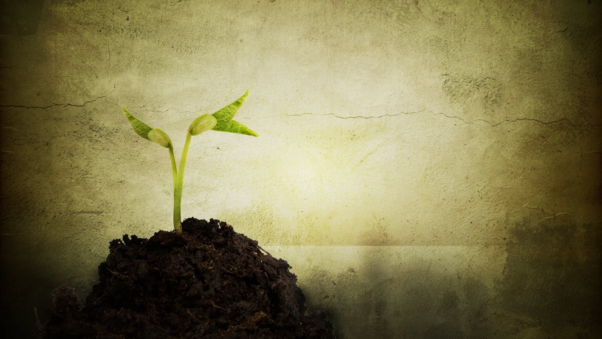 Meandering - Words Speak Life