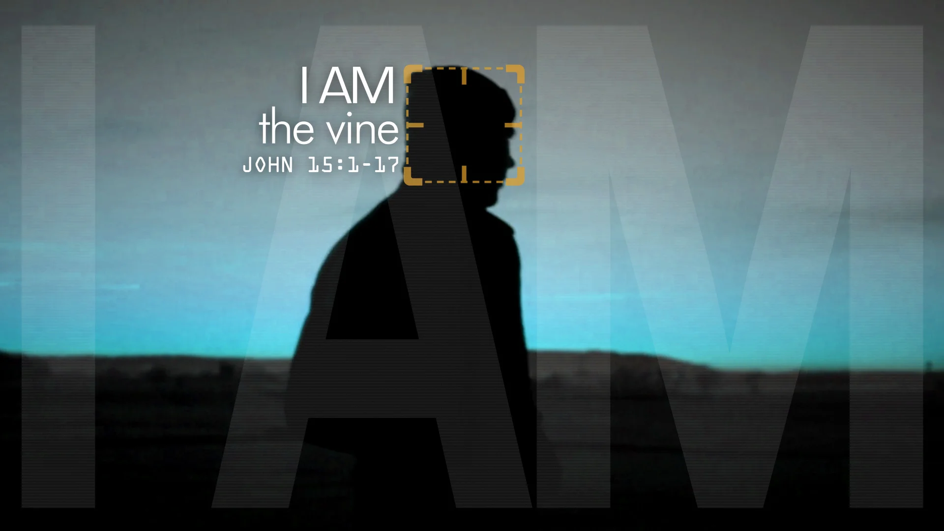 Person of Interest - I AM the Vine [John 15]