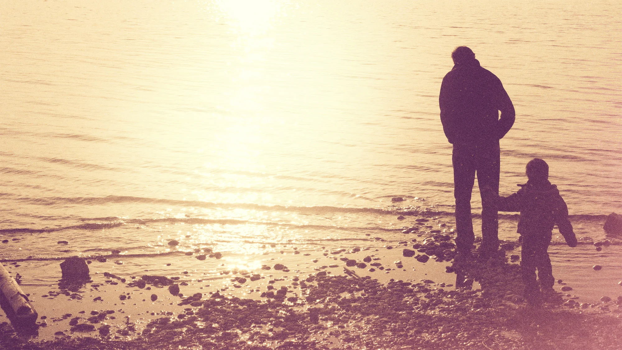 Meandering - Adopted