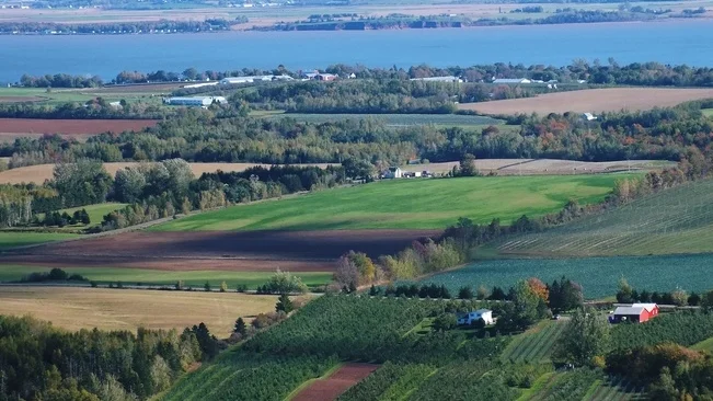 Meandering - Overwhelming Creation