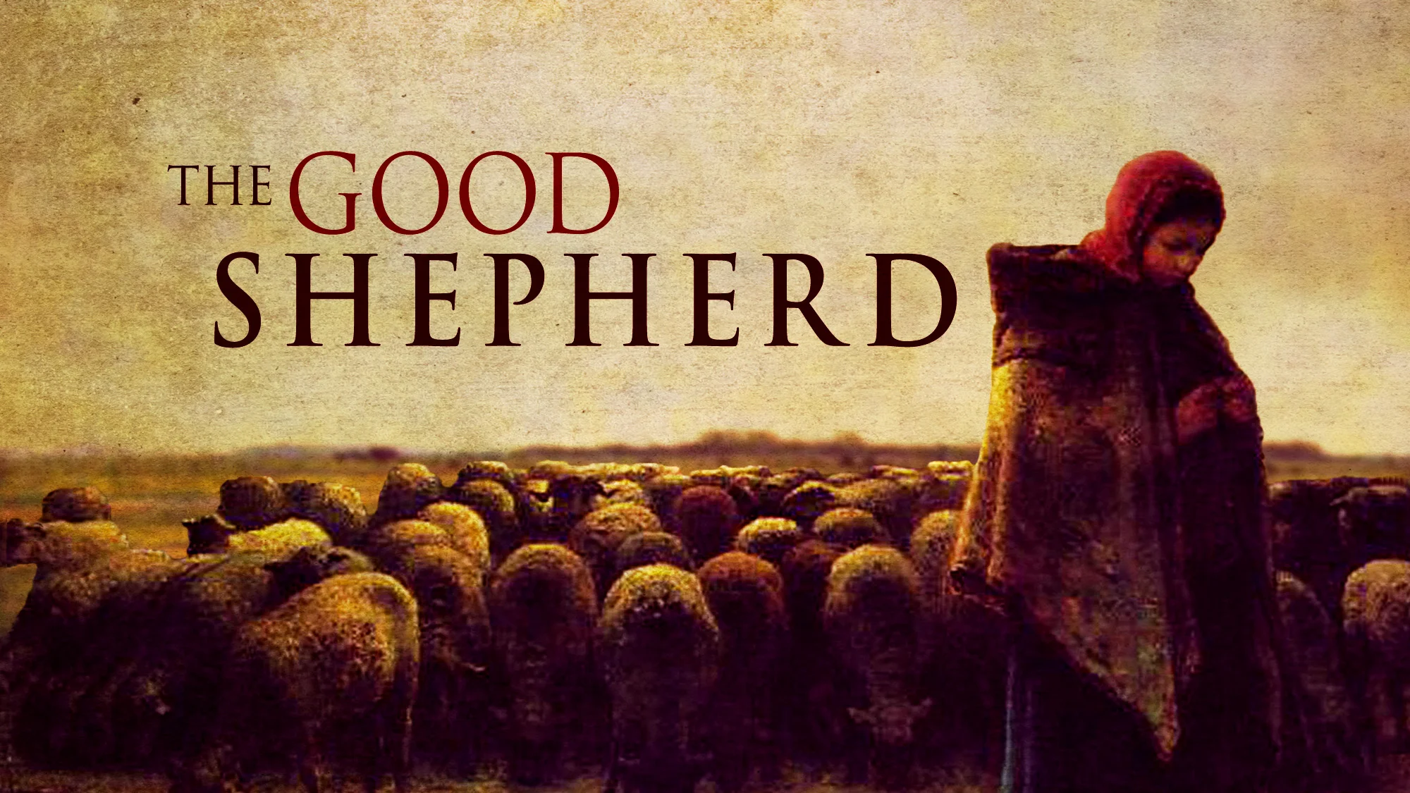 Meandering - Wolves and the Shepherd