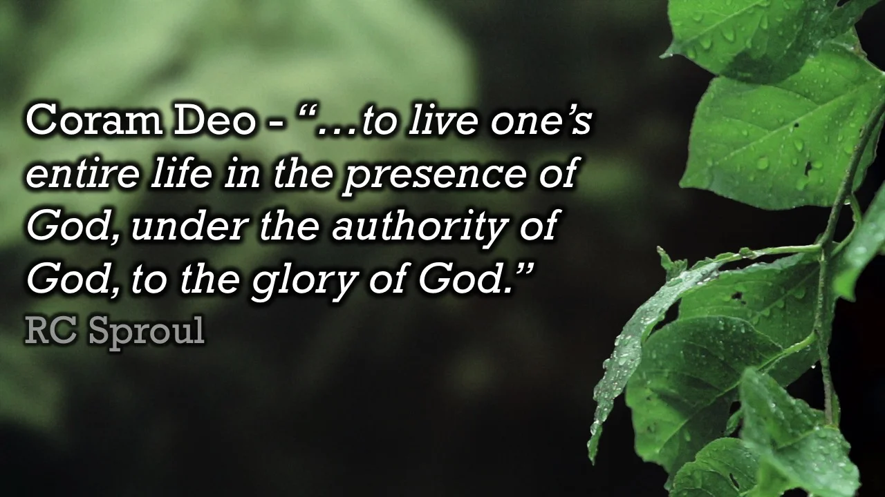 Meandering - Coram Deo