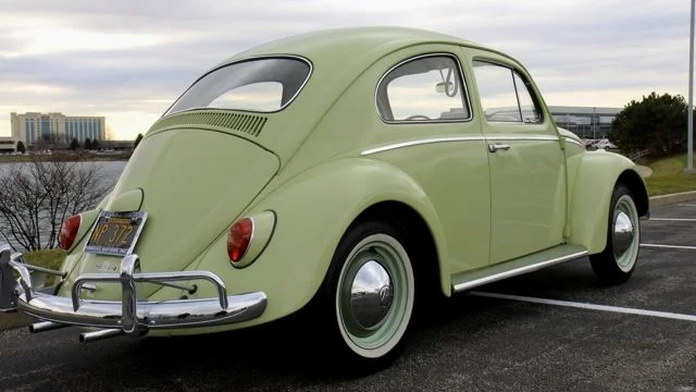 Meandering - Sweet Pea